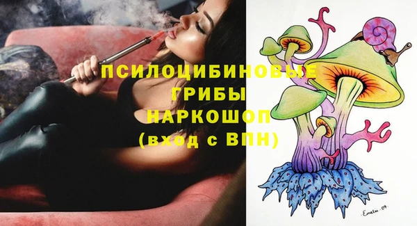 молекула духа Алзамай